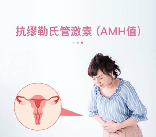 抗缪勒氏管激素检测（AMH） 商品图0