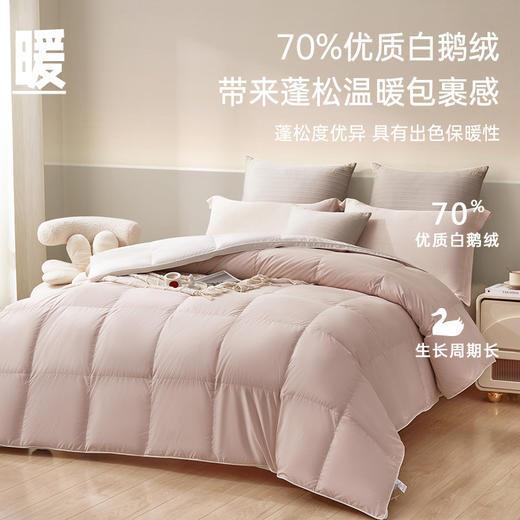 超值限量款白鹅绒被 商品图1