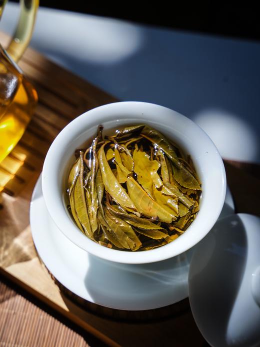 10月31日中午12点【沧海一叶】2025年临沧茶区磨烈古树春茶，东半山的阳刚+西半山的阴柔，幽兰野韵蕞绝伦 黯然销魂！357克/饼，拍5发6 商品图2