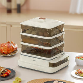 杜邦多功能电蒸锅PZL-KY0818—rxs