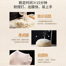 金像牌高筋粉小麦面粉 软欧餐包披萨面条面包粉4.5斤 /粮油调味 /面粉 /通用粉