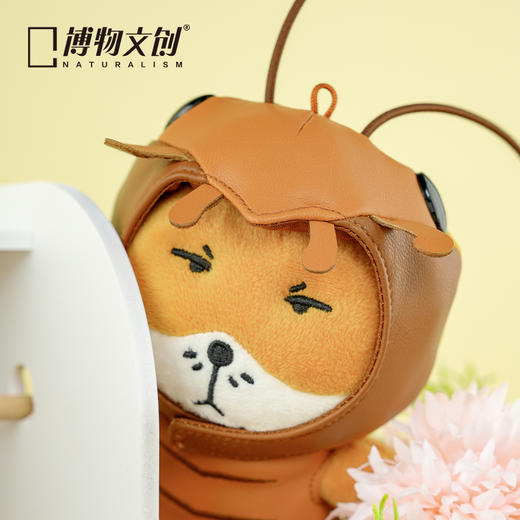 博物文创 狐主任毛绒第二弹 狐闹   藏狐 无穷小亮张辰亮同款 鉴定一下网络热门生物 和狐主任一起看世界 商品图1