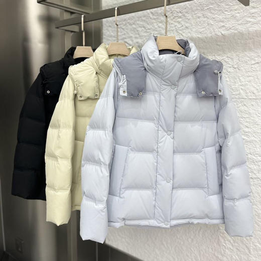 冬季女士经典泡芙五格帽子可拆羽绒服19011 商品图3