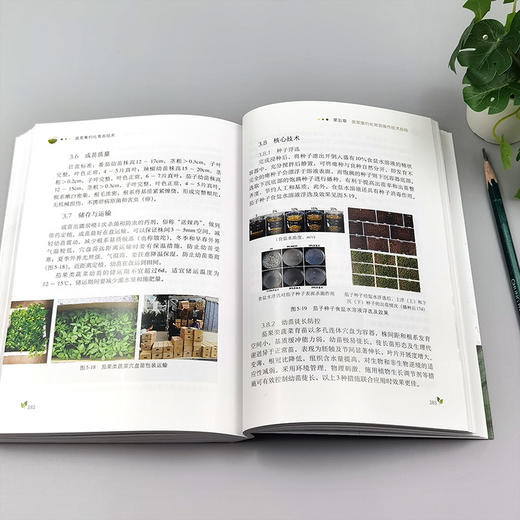 蔬菜集约化育苗技术【官方正版，可开发票】 商品图3