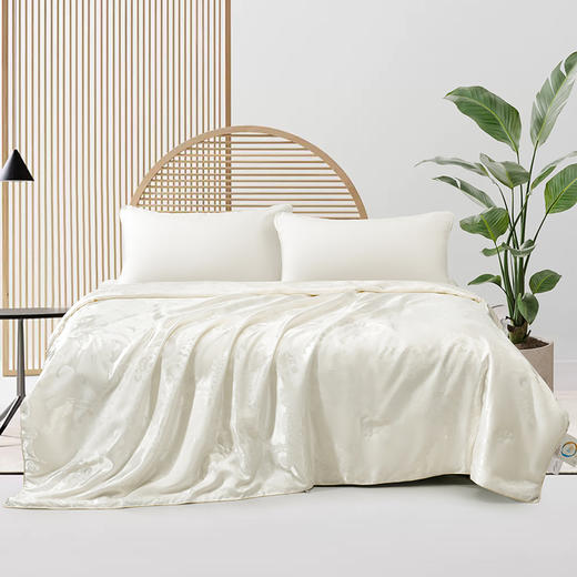 水星家纺 云柔四季A类提花蚕丝被 200*230cm【ZXZQ6.4】 商品图0