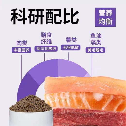 宠物猫粮 全价猫粮 主粮 成猫幼猫通用猫粮 全阶适配高性价比低敏易消化 商品图2