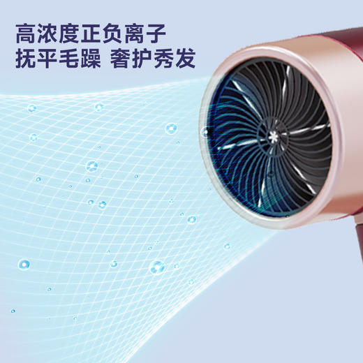 夏普等离子吹风机IB-RC46C-P 商品图2
