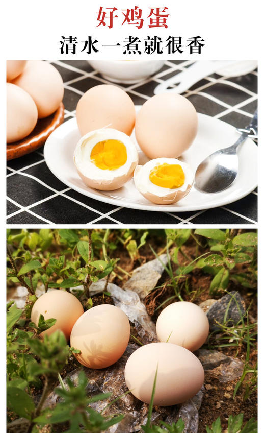 【美佳·惠生活】耘光里农场散养土鸡蛋现捡先发30枚 商品图5