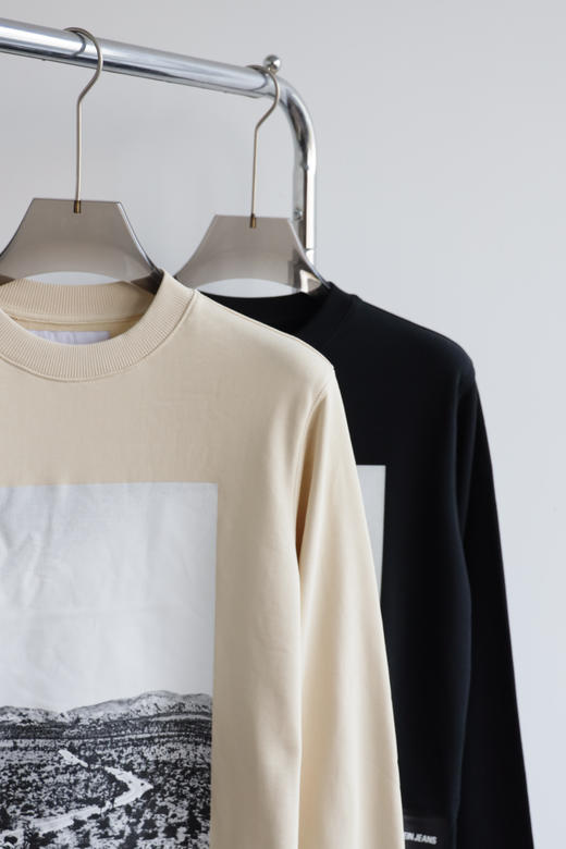 西K元单 薄款全棉毛圈卫衣 WY931 商品图2