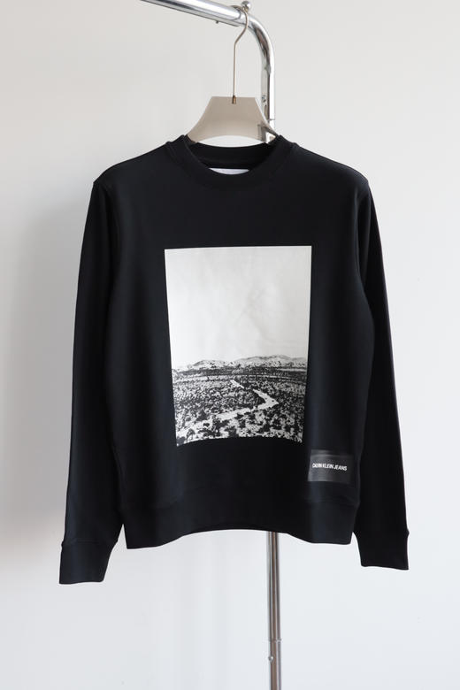 西K元单 薄款全棉毛圈卫衣 WY931 商品图4