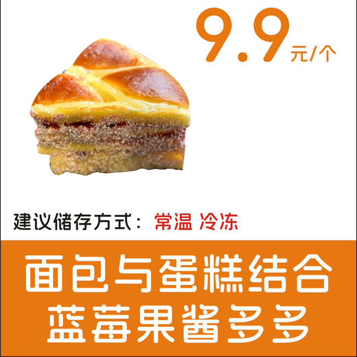 蓝莓面包计划 商品图0