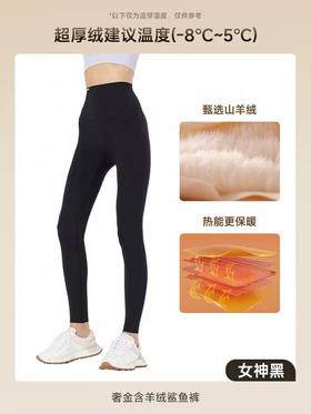 纯元！Z品单！MissWiss 冬季奢金羊绒鲨鱼裤