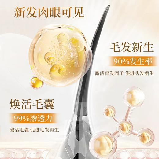 【美诗秀植物防脱育发套盒】强根固发密发头皮精华液 商品图3