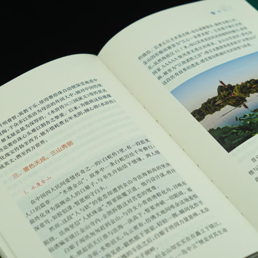 运河八城  张新科 著 商品图5