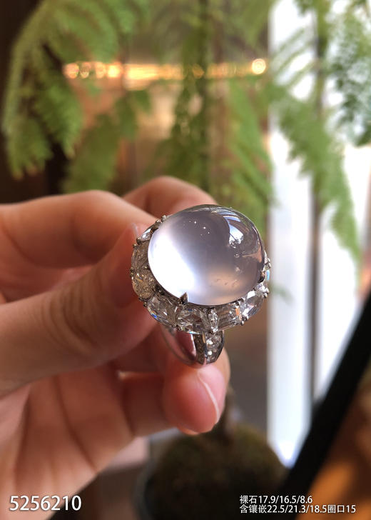 玻璃种蛋面戒指【5256210】具体价格微信咨询 商品图3