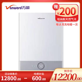 万和燃气壁挂炉 L1PB53-Y48B3