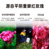 玫瑰花冠茶20g桶装 商品缩略图6