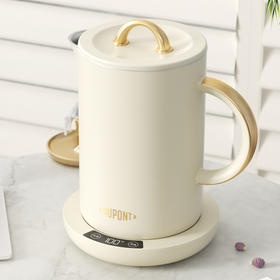 杜邦电热水壶PSH-KY1315—rxs