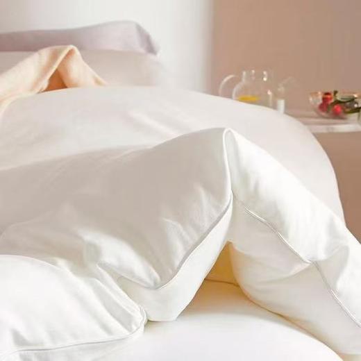 【恐龙厅】B7F丨  恐龙舒雅纤维冬被2000g 商品图1