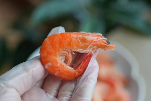 【13号晚截单 有机盐田香虾 家庭实惠装 】有机认证 清华北大食堂定点采购基地 不用抗生素 盐田虾生长环境盐度高 大部分的细菌寄生虫病害会自动被杜绝 商品图3