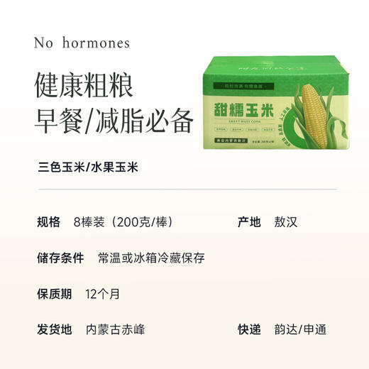 【新增敖汉水果玉米 肯德基同款】【黄糯玉米/敖汉甜糯玉米/黑糯玉米】比普通玉米更甜更香，属于糯玉米的口感，嚼起来有韧性，也不会过分夸张的粘腻，吃起来香甜软糯~ 商品图3