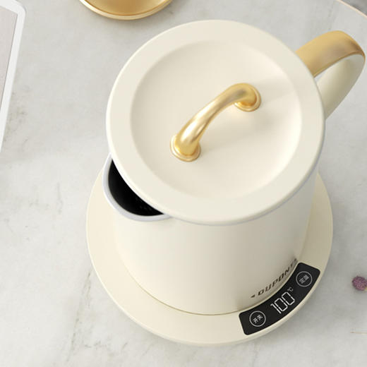 杜邦电热水壶PSH-KY1315—rxs 商品图2