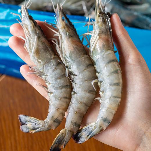 下厨房黑虎虾|泰国进口的虾中霸王！液氮速冻，个大Q弹超鲜甜 商品图0
