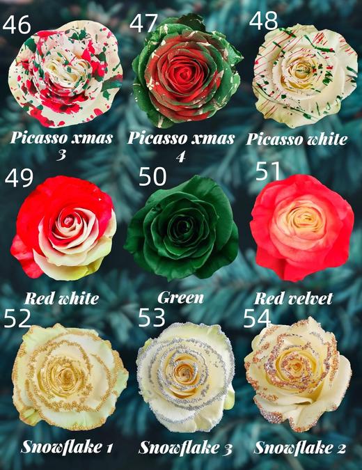 【预定】2025圣诞节厄瓜多尔进口染色玫瑰花10支 商品图6