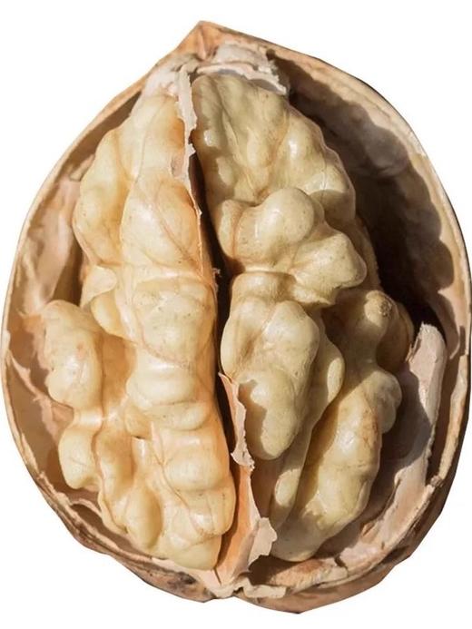 新疆阿克苏原味生纸皮核桃 商品图4