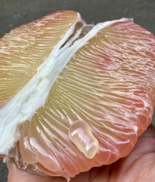 【进口】＃Medusa泰国翡翠香槟金柚#柚香赛过任何一个品种的柚子，丝丝饱满，清甜水嫩，回味清冽，清新口气，解腻消食。 商品图2