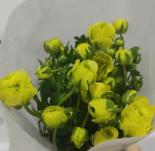 配花 | 蝴蝶洋牡丹柠檬黄 商品图0