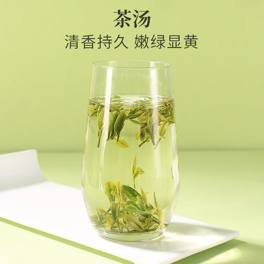 2025新茶上市徽六特二级霍山黄芽茶叶黄茶50g 商品图2