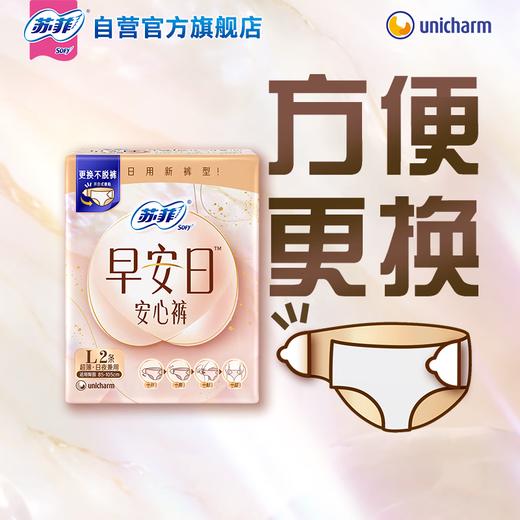 苏菲早安日安心裤 L2P  50-70kg 商品图1