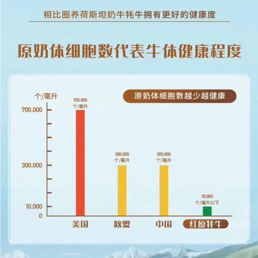 西部牦牛 有机纯牦牛乳粉 全脂奶粉 320克/桶(20克x16袋）6桶优惠装 商品图4