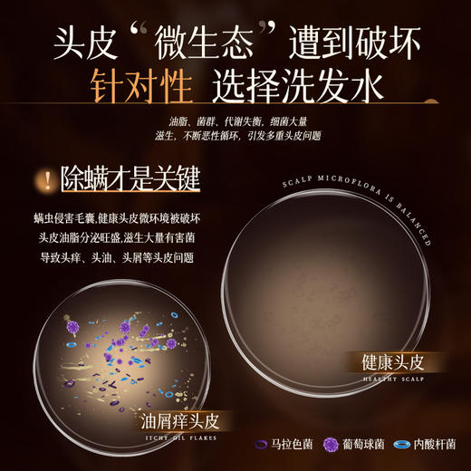 49.9元两大瓶！【Anfany伊芳妮--保加利亚玫瑰香氛洗护套装】玫瑰控油双专利植萃 持久清爽不拔干 层次香氛留香持久 细扁塌/大油头救星 控油不紧绷 轻松get头包脸氛围感 商品图1