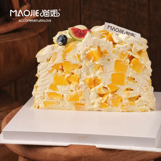 芒果千层 商品图1