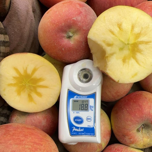 新疆阿克苏苹果  商品图4