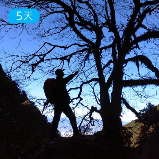 高黎贡45公里轻徒步｜毛毛球森林 玉璧古道穿越 重走茶马古道 怒江野温泉 腾冲火山徒步 商品图3