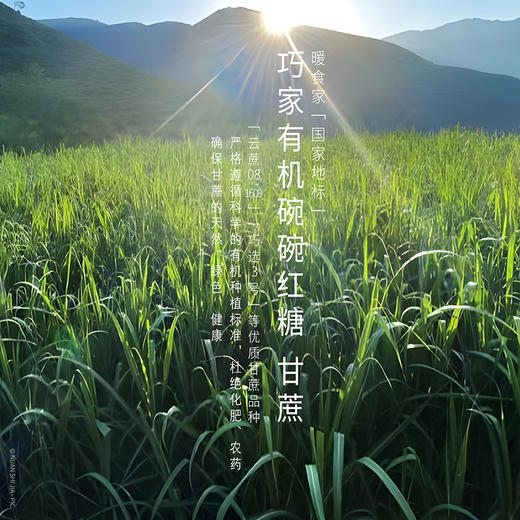 暖食家巧家碗碗红糖105g/盒（15g*7块/盒） 商品图2