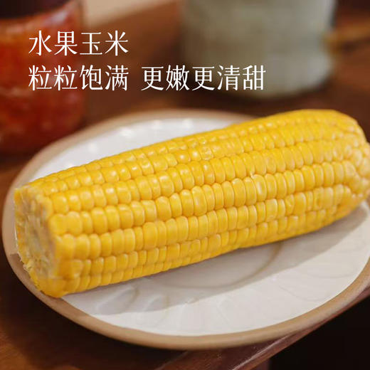 【新增敖汉水果玉米 肯德基同款】【黄糯玉米/敖汉甜糯玉米/黑糯玉米】比普通玉米更甜更香，属于糯玉米的口感，嚼起来有韧性，也不会过分夸张的粘腻，吃起来香甜软糯~ 商品图2