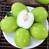 头茬鲜果牛奶大青枣 核小肉厚 脆甜多汁 商品缩略图5