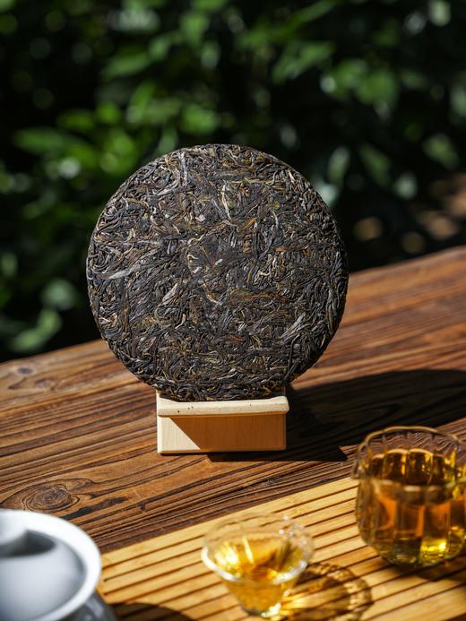 11月3日中午12点【妖王】2025春茶！布朗山新宠广别老寨，拳打班章，脚踹冰岛！遗世独立！扬名四方！净含量：357g/片，拍5发6 商品图4