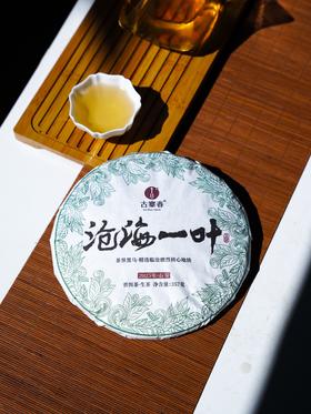 正月初六中午12点【沧海一叶】2025年临沧茶区磨烈古树春茶，东半山的阳刚+西半山的阴柔，幽兰野韵蕞绝伦 黯然销魂！357克/饼，拍5发6