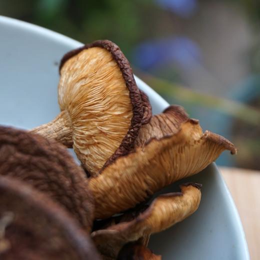 010云南小香菌  丽江老君山 栗木生长香菌 零硫熏 香气浓郁 味鲜美 商品图3