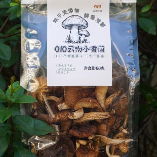 010云南小香菌  丽江老君山 栗木生长香菌 零硫熏 香气浓郁 味鲜美 商品图1