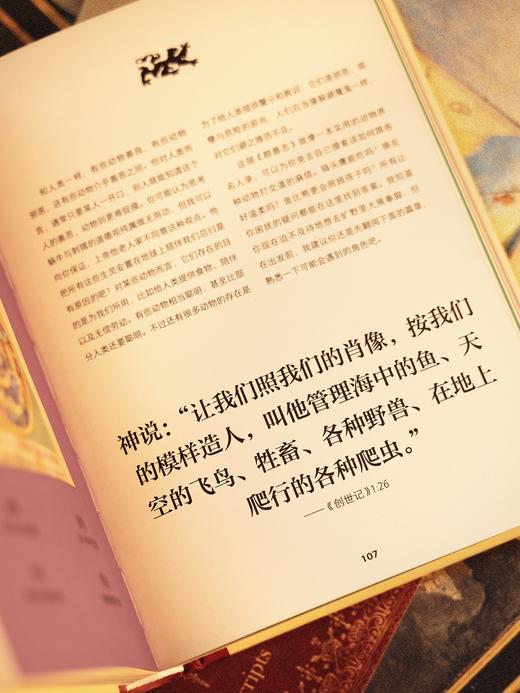 中世纪生活图鉴（精装，特装夜光版/常规版），保命tips：别被蜗牛追杀，更别惹会爆炸的猫！ 商品图12