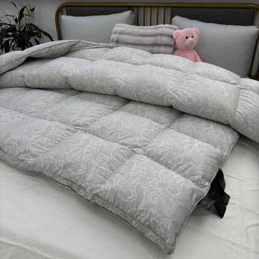 绝了！太暖和，轻如云朵！【西伯利亚进口白鹅绒】恒源祥 高端静音鹅绒被 精选腹部大朵绒 立体填充 被面静音 1件充绒量相当于8件羽绒服 抵御西伯利亚的严寒（单被子，送礼袋） 商品图9