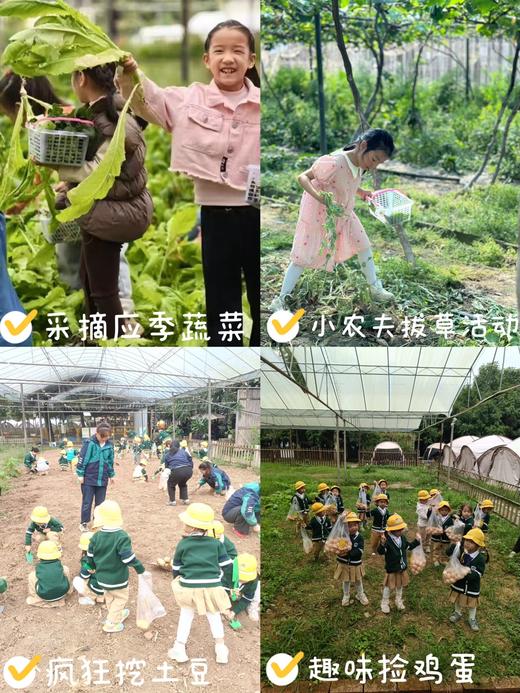 双流【归原亲子农场】吃玩一天，一价全包，烤肉/汤锅午餐，喂小动物，蔬菜采摘，小猪赛跑，套鸭子，钓小黄鸭，疯狂挖土豆，9+亲子互动体验活动，当天活动奖品可免费带回家。 商品图4