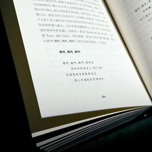 雪地里的橙 诗人论诗 精装 诗集 中国文学 商品图13