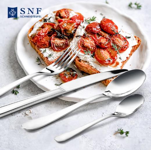 施耐福 stella系列西餐具四件套 商品图2